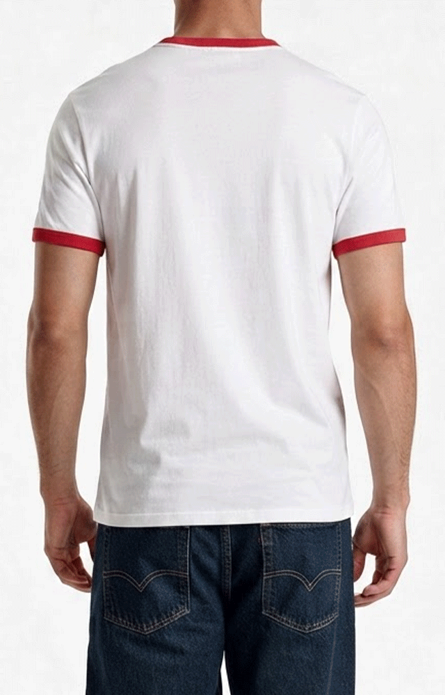 2431 - Men's CVC Ringer T-shirt